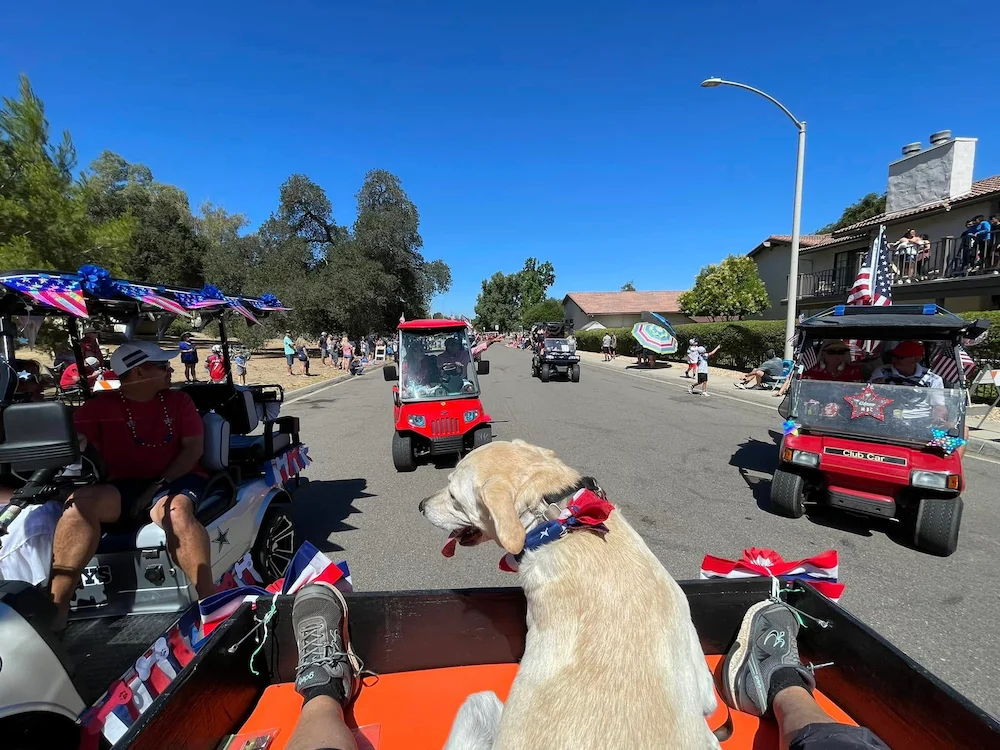 Dog's-eye view from a decorated golf cart in the San Diego Country Estates 4th of July parade. Photo by Shellz Dezign Photography.
